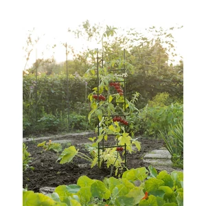 Növénytámasz háromszögű