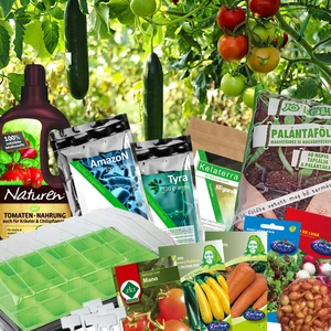 Kezdő Magaságyás Start csomag + AJÁNDÉK PALÁNTÁZÁSI ÚTMUTATÓ