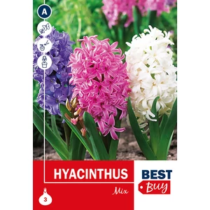 Jácint Mix - BestBuy