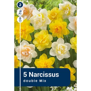 Nárcisz Double Mix - DUPLA SZIRMÚ