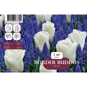 Tavaszi Duett – 60db-os Tulipán &amp; Gyöngyike Mega virághagyma kollekció - De Ree