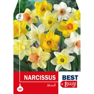 Nárcisz Mix - BestBuy Megapack