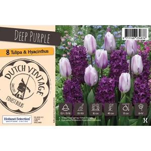 Dutch Vintage 'Deep Purple'