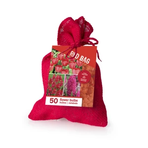 Color Bag Red 50db-os kollekció