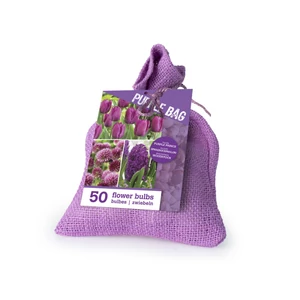 Color Bag Purple  50db-os kollekció