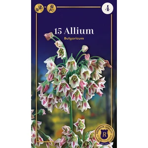 Illatos Bolgár Nektárhagyma - Allium Bulgaricum