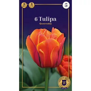 Tulipán Ice Cream