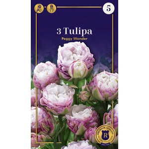 Tulipán 'Peggy Wonder'