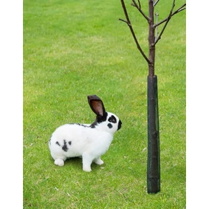 Fatörzsvédő háló 4db