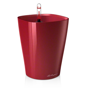 Lechuza Deltini Prémium