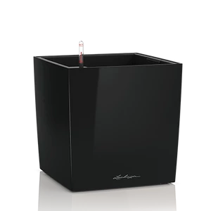 Lechuza Cube Prémium 40cm - Magasfényű fekete