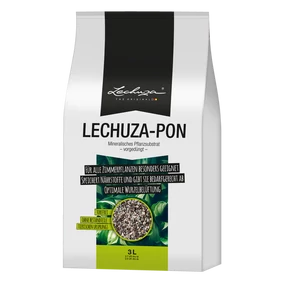 Lechuza pon
