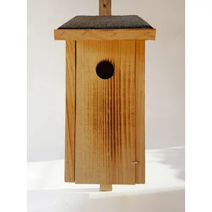 Madárodú Fenyőből B