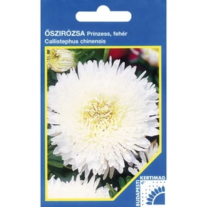 Őszirózsa Prinzess, Fehér (Callistephus Princess) 