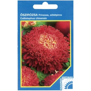 Őszirózsa Prinzess, Skarlátpiros