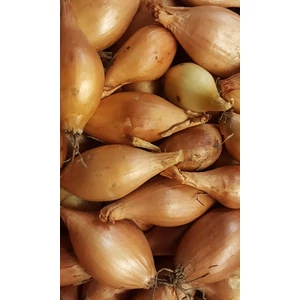 Makói Dughagyma 500g