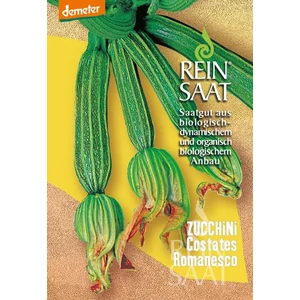 BIOdinamikus Constates Romanesco cukkini