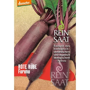 BIOdinamikus Forono cékla