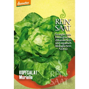 BIOdinamikus Murielle fejessaláta vetőmag