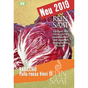 BIO Cikória saláta  - ReinSaat - Palla rossa Vinci TT