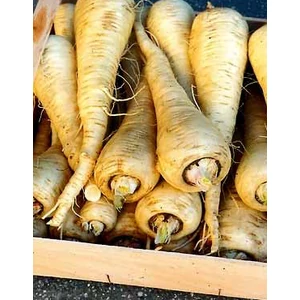 BIO RS Paszternák White Gem