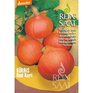 BIOdinamikus Red Kuri Hokkaido tök vetőmag