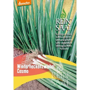 BIOdinamikus téli kötözőhagyma