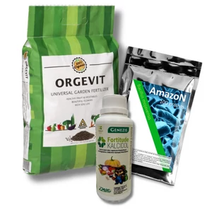 Nyári paradicsom ápoló csomag