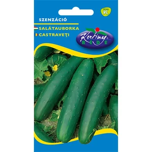 Szenzáció - SALÁTAUBORKA -  Rédei Kertimag