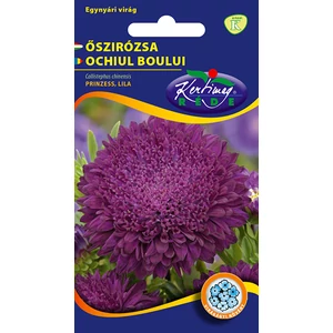 Őszirózsa Prinzess - Lila - Rédei Kertimag