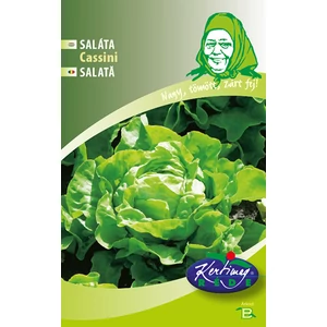 FEJESSALÁTA Cassini - SZAKASZOSAN VETHETŐ, NYÁRI - Rédei Kertimag