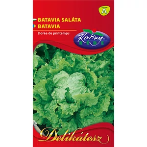 SALÁTA Batávia - Rédei Kertimag