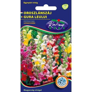 Oroszlánszáj - Színkeverék - Rédei Kertimag