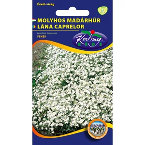  Molyhos Madárhúr - Fehér - Rédei Kertimag