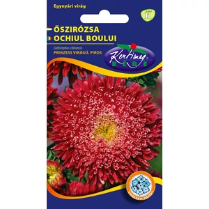 Őszirózsa Prinzess - piros - Rédei Kertimag
