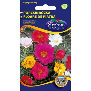 Porcsinrózsa - Féltelt virágú Színkeverék - Rédei Kertimag