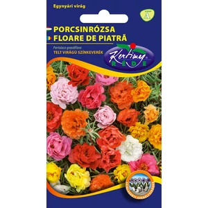 Porcsinrózsa Telt virágú - Színkeverék - Rédei Kertimag