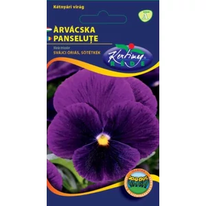 Árvácska Óriásvirágú Sötétkék