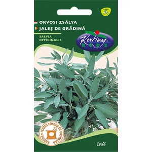 Orvosi zsálya - Rédei Kertimag