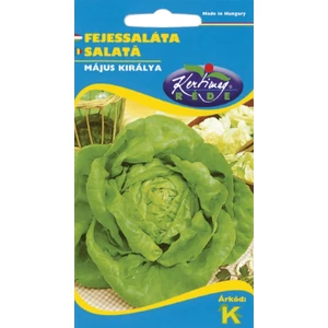 Május Királya Saláta