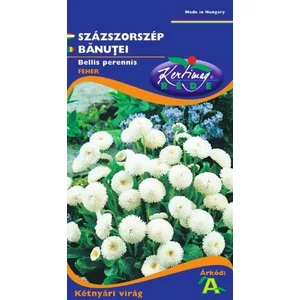 Százszorszép - Fehér - Rédei Kertimag