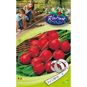 Óriás vajretek MAGSZALAG