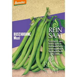 BIO Maxi bokorbab - ReinSaat - BUSCHBOHNE Maxi