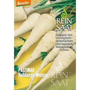 BIO Paszternák félhosszú - ReinSaat - PASTINAK Halblange Weisse