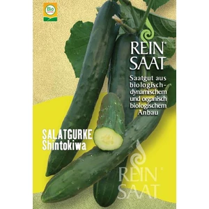 BIO Uborka - ReinSaat - Shintokiwa