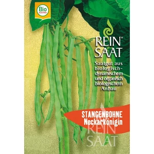Bio Zöldbab - ReinSaat - Neckarkönigin