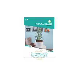 Citromillatú eukaliptusz