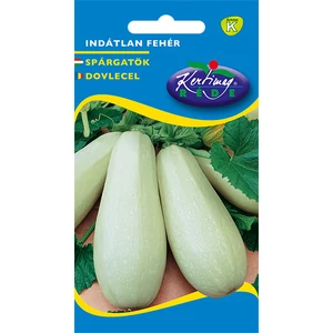 Spárgatök - Indátlan fehér - BŐTERMŐ - Rédei Kertimag