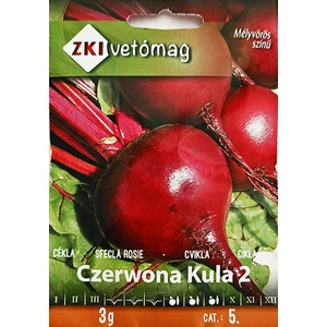Cékla Czerwona Kula 2