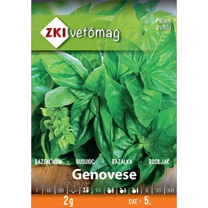 Nagylevelű GENOVESE Bazsalikom